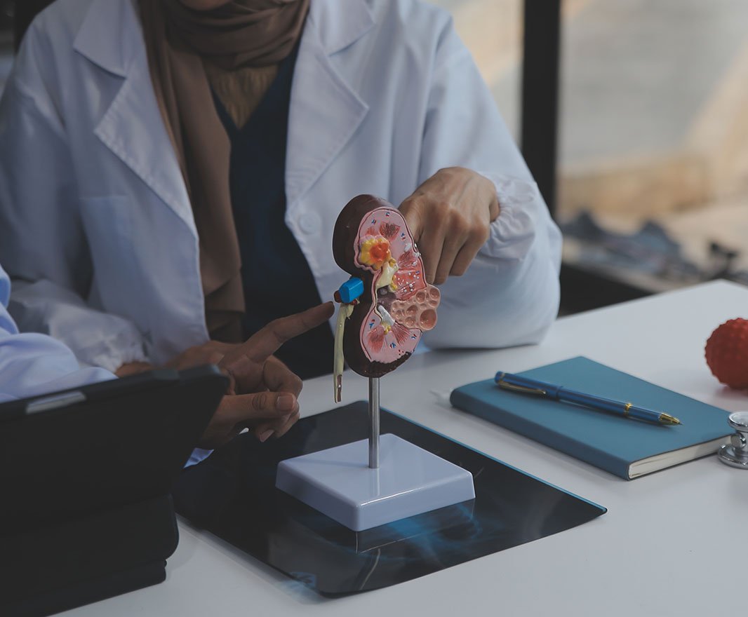 Urology Treatment at Optimus Hospital Gurgaon