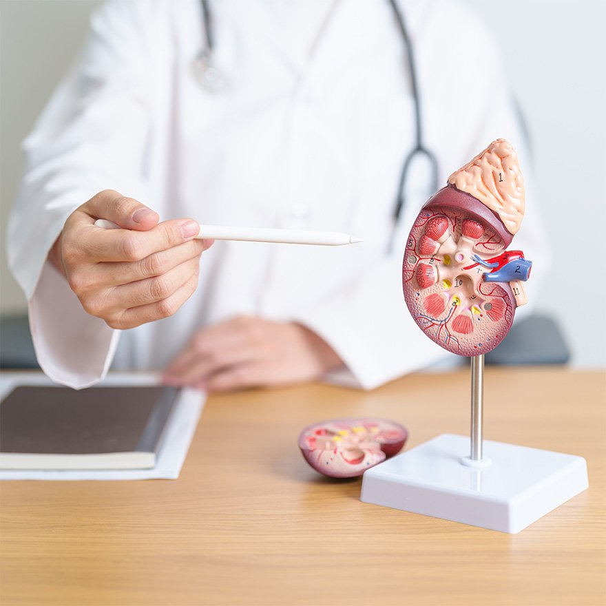 Medical Stone Management