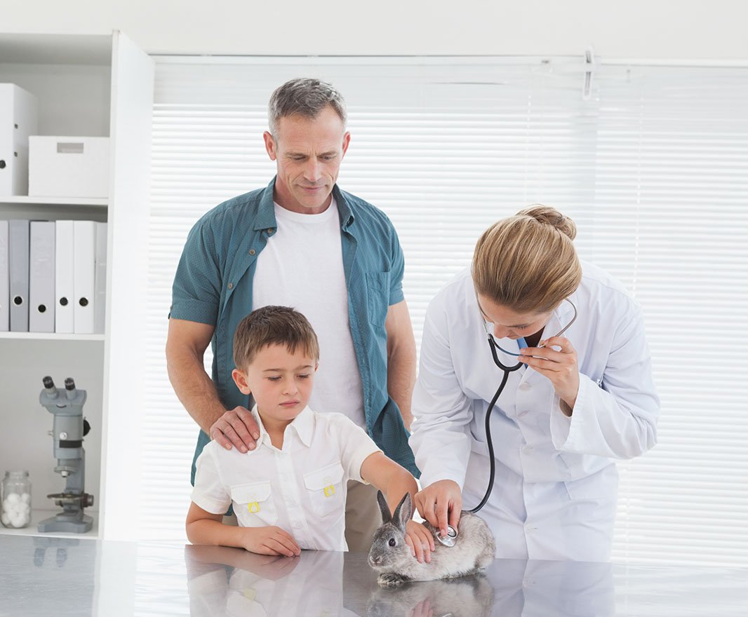 Common Pediatric Procedures at Optimus Hospital