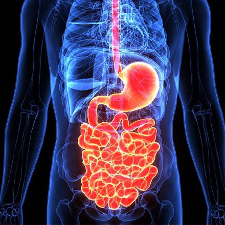 Diagnostic Endoscopy