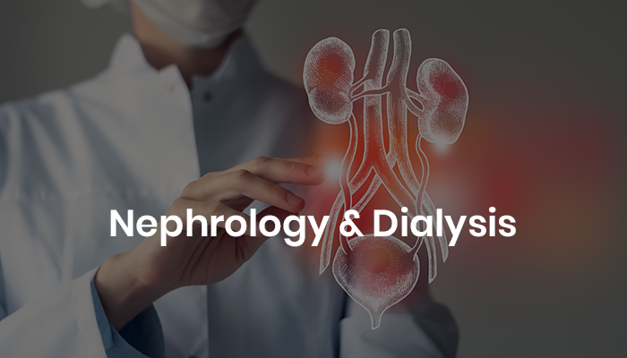 A healthcare professional in a white coat holds a glowing, 3D representation of kidneys and a urinary system, symbolizing nephrology and dialysis.