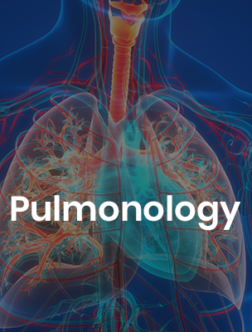 A 3D illustration of the human respiratory system, with a focus on the lungs, symbolizing pulmonology and respiratory health.