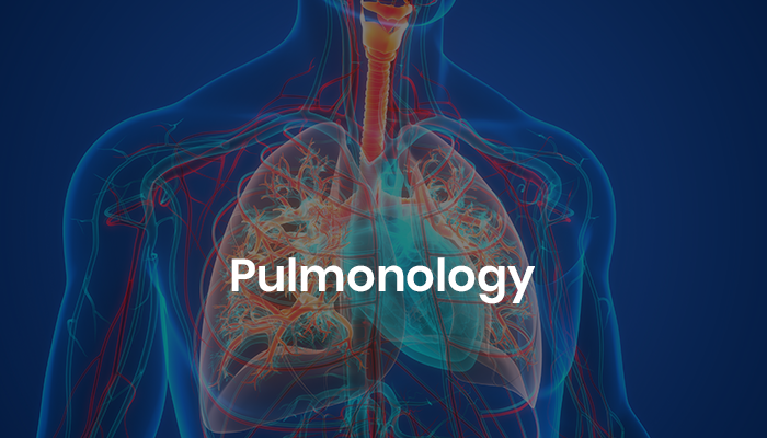 A 3D illustration of the human respiratory system, with a focus on the lungs, symbolizing pulmonology and respiratory health.